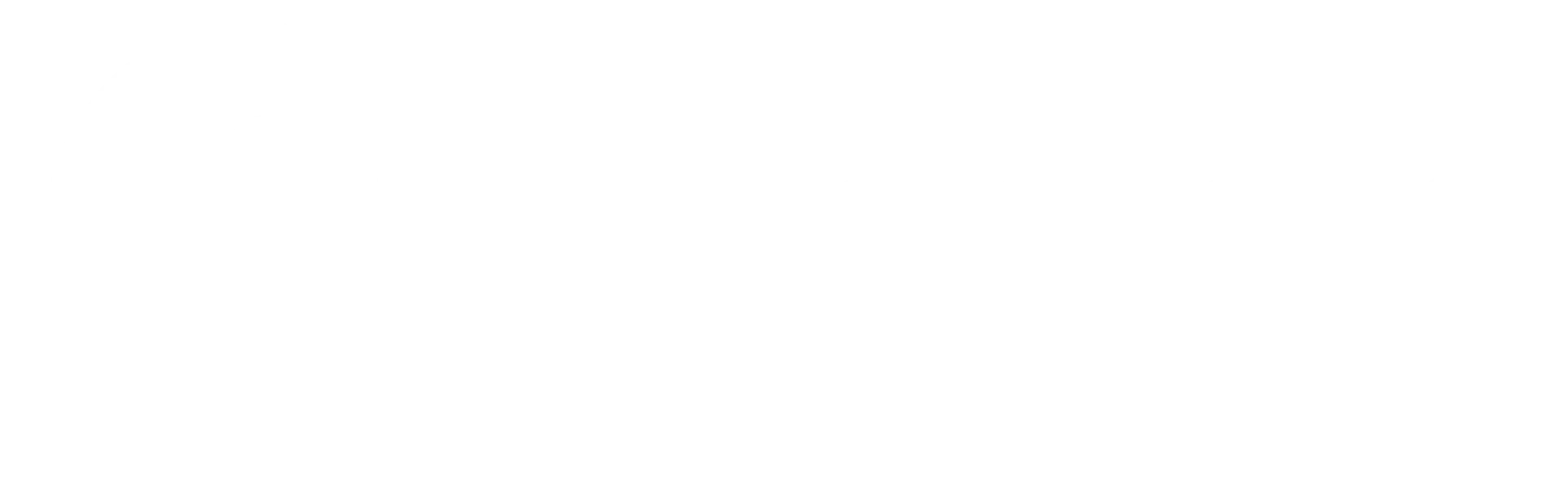 Branding of Eridan Group, Eridan Space Logo by Qeola